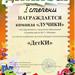 Наши достижения